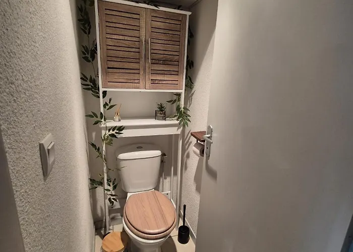 Lary Soulan Centre-ville Lejlighed *